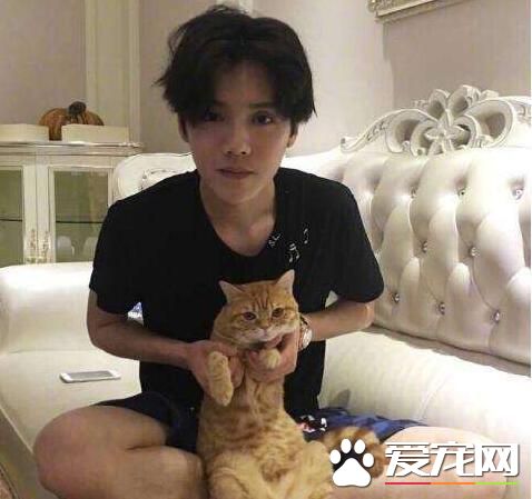 鹿晗的寵物，王源的寵物，胡歌的寵物，都沒有她的寵物任性！