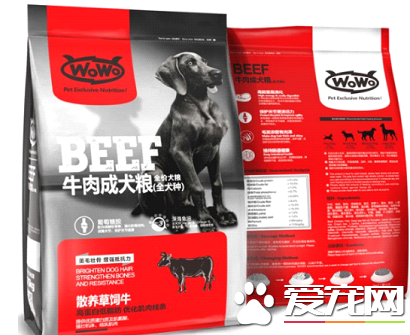 還傻傻分不清成犬狗糧在狗狗多大的時候吃？WOWO牛肉成犬糧告訴你