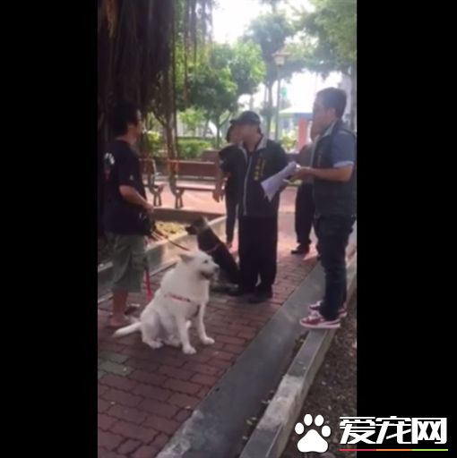 狗在公園尿尿 飼主遭區長取締掀戰火