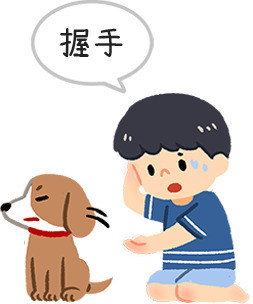 狗狗睡不好的4種后遺癥 甚至會出現攻擊行為