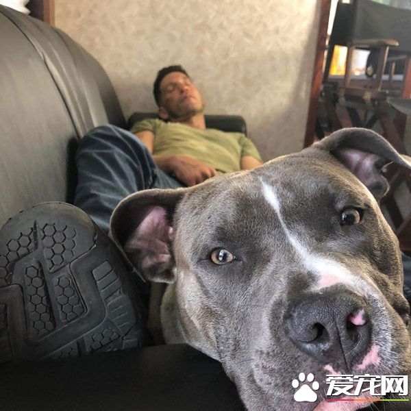 銀幕上的粗獷硬漢 私下卻是位強悍又愛動物的真男人