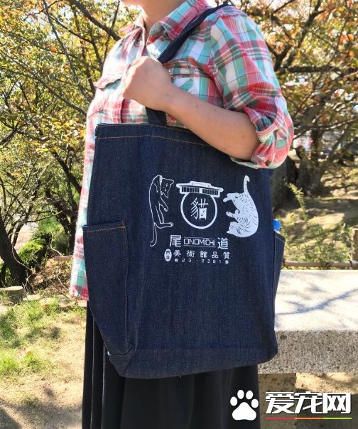 喵星人想進美術館 和保全的攻防互動在網絡上爆紅