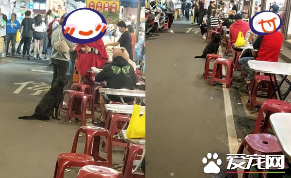 黑狗沿桌討飯超專業 吃完一輪再重頭來過
