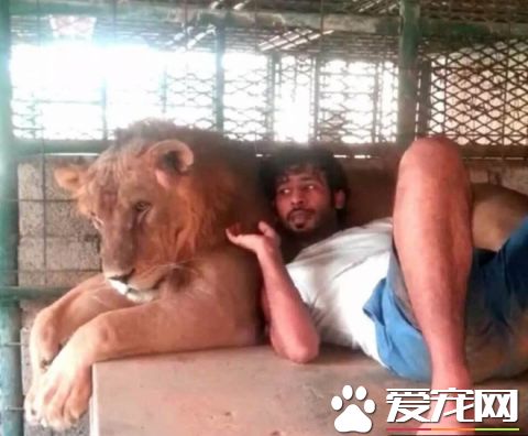 看看中東土豪這些人的寵物，瞬間感覺我們的簡直low爆了