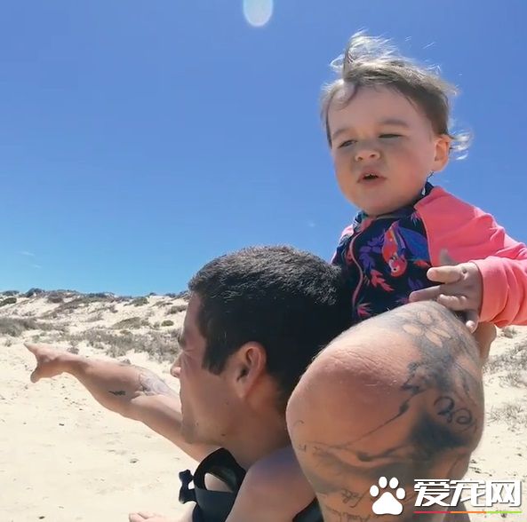 澳洲男子游玩發現受困海龜 暖心就了海龜一命