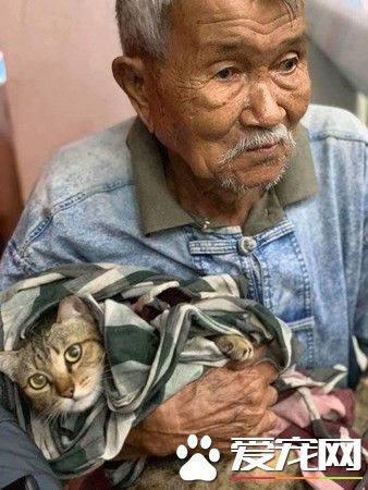 臺風來襲泰國南部 老爺爺緊緊抱著愛貓逃難