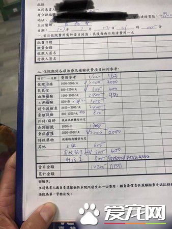 汪遭飼主棄養還被車撞 幸遇到了善心人士相救