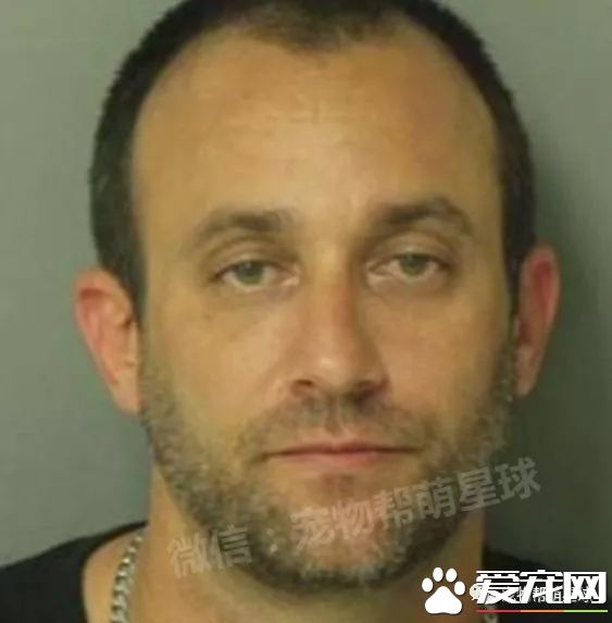 弗羅里達州警員們帶上警犬參加槍戰，其中一只狗狗的行為讓所有人都超級感激！