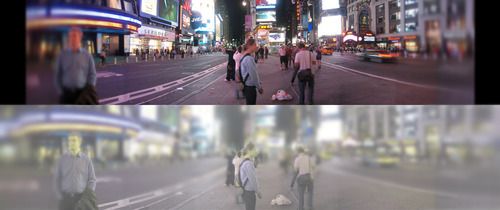 在貓咪的眼里，這個世界到底是什么顏色的？這幾張圖讓你了解