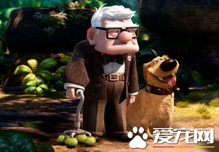 這組合超萌！ 美國87歲爺爺和愛犬扮天外奇跡