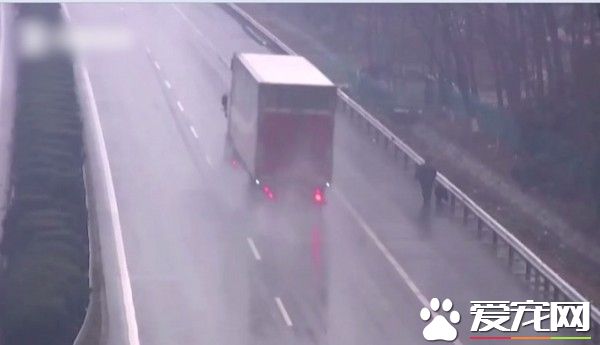 男子在高速公路上遛狗 原因竟是這里比較干凈