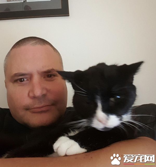 男子痛失18歲愛貓 領養橘貓兄妹重回貓爸爸行列!