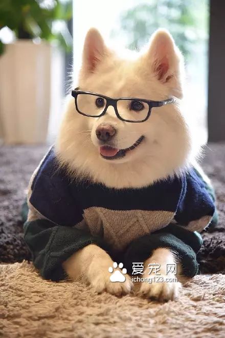 一對可愛的“兄妹”