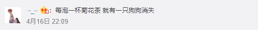 世界上僅此一只的狗狗 看完我笑了 沙雕年年有今年特別多