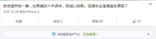 瘸腿小狗“被遺棄”引熱議 當事人出面發言