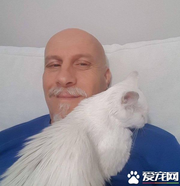 貓咪鬼門關前走了一回 因禍得福獲真命貓奴