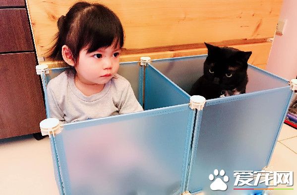 黑喵哥哥帶壞人類妹妹 不爽表情簡直一模一樣