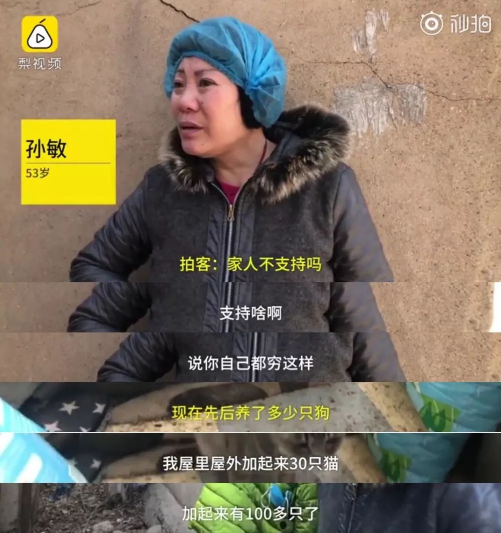女子為收養流浪小動物 最后自己卻沒錢看病