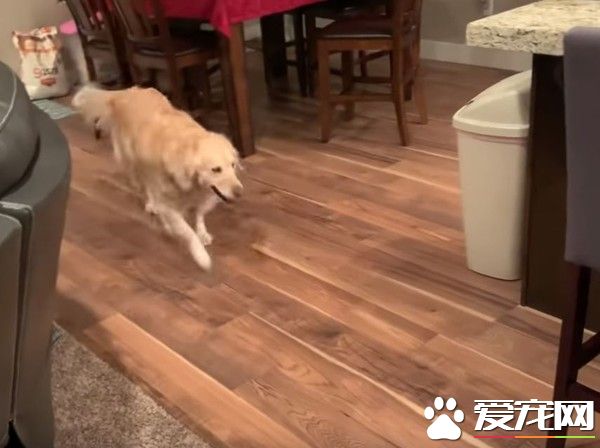 阿金開心迎接還偷親妹妹的臉頰 模樣超溫馨!