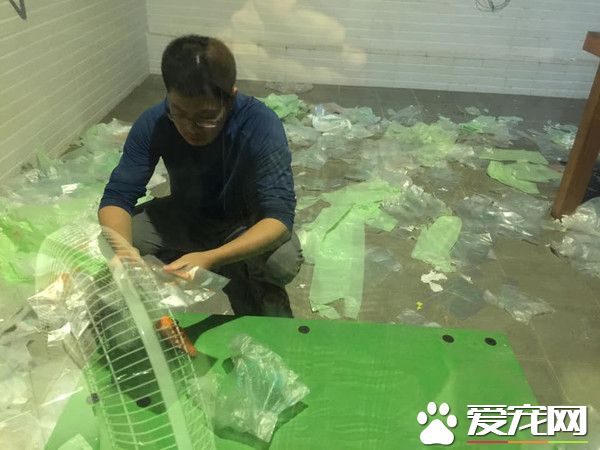 汪將塑膠袋弄滿地 正襟危坐露出愧疚表情認錯