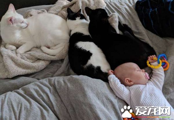監視器里拍到史上最萌畫面 黑貓時刻陪伴妹妹