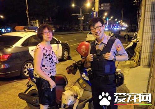 見色忘主 柴犬3次離家出走只為堵截女朋友