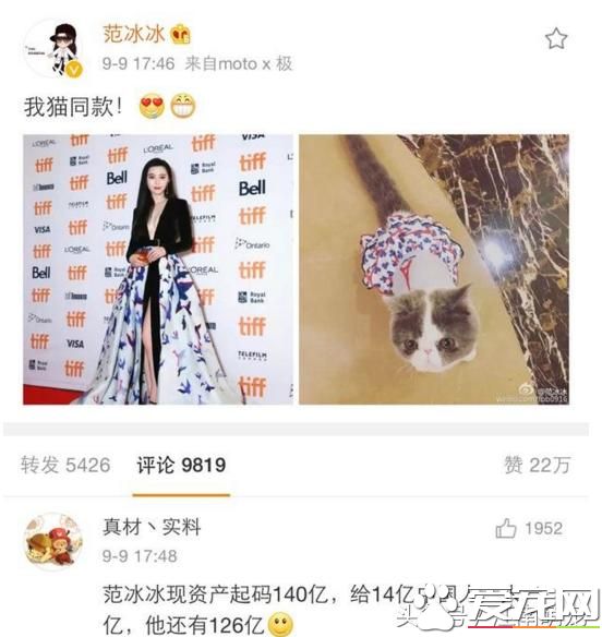 寵物貓：范冰冰的寵物貓，玩寵玩出了新花樣