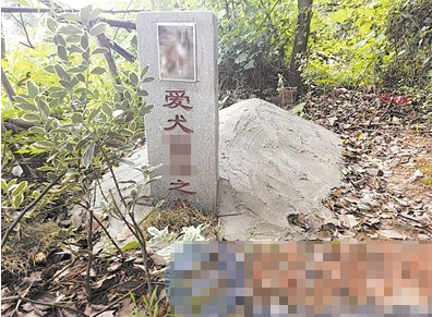 有人用“自留地”做寵物狗土葬生意 墓碑上有狗生前的烤瓷相片
