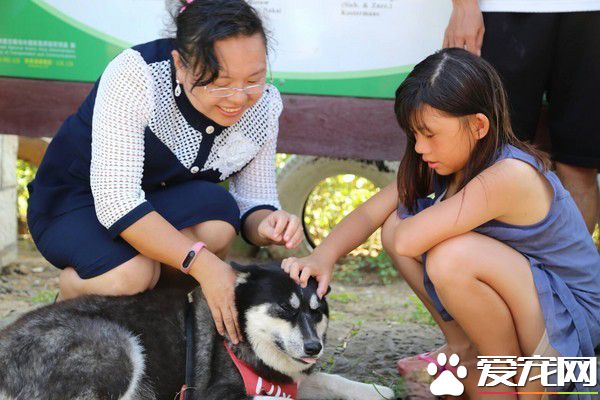 鼻頭國小校犬遭撞死離世 師生淚：一路好走