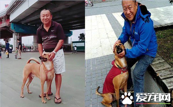 阿公不舍金孫回家 霸氣傳簡訊這個月放我這