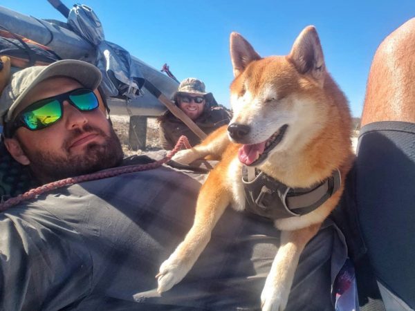 愛犬失去視力變膽小 為重拾自信男子帶它再次踏上旅程