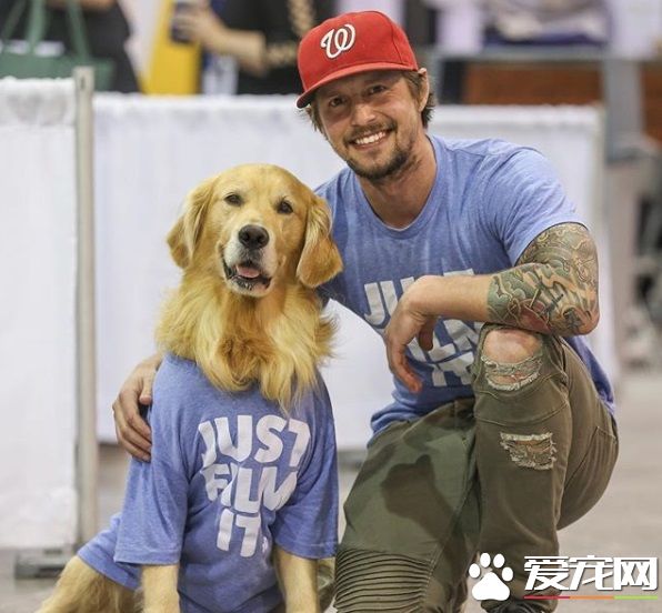 超級爸寶黃金獵犬 超級熱情飛彈迎接爸爸回家