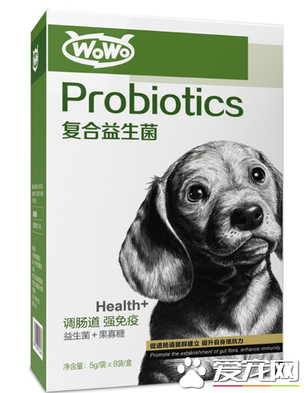 狗狗常嘔吐什么原因？WOWO復合益生菌幫狗狗調理腸胃