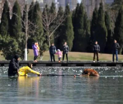 縱身跳冰湖救出落水狗 狗狗獲救發生感動一幕
