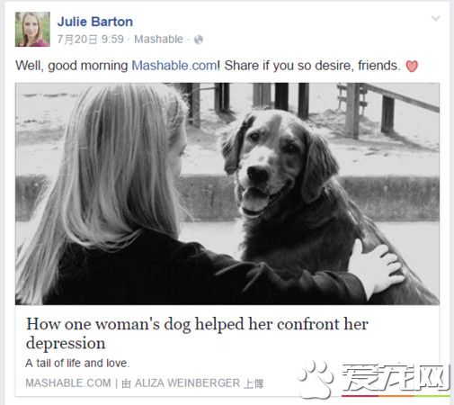黃金獵犬幫助女作家擺脫抑郁癥 活下去的唯一理由