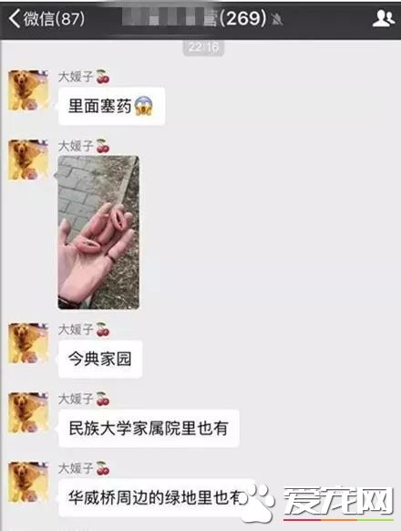 投毒害狗還想脫身？我們不答應，法律更不答應！