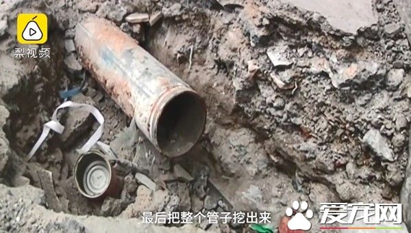 幸好救援計畫大成功！<a href=/zhonglei/mao/ target=_blank class=infotextkey>貓</a>咪被困管道深處幸得路人相救