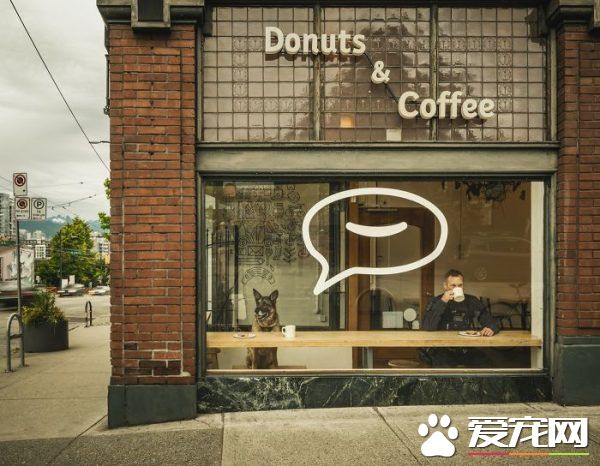 硬漢狠角色路線 警犬們的硬漢魅力迷倒大家