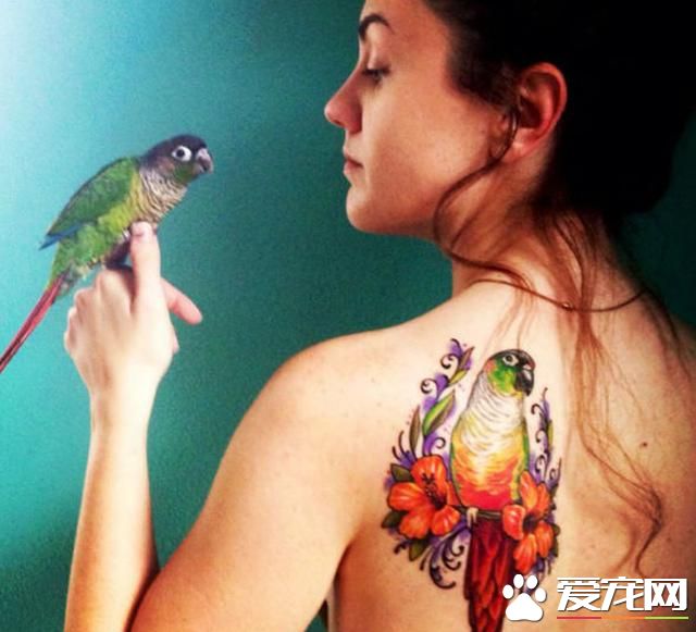 與愛寵永遠在一起：寵物形象紋身成潮流(組圖)- 新聞