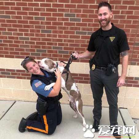 比特犬被主人綁樹上虐待 幸得志工和警察幫助獲得解救