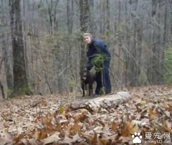 主人下跪求婚時 狗狗竟然爆笑亂入搶鏡