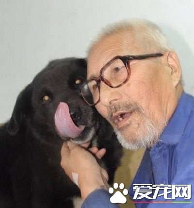 怕死后沒人照顧狗狗 老人立遺囑8萬給愛犬