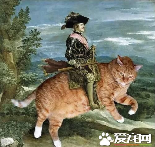 當寵物貓亂入名畫