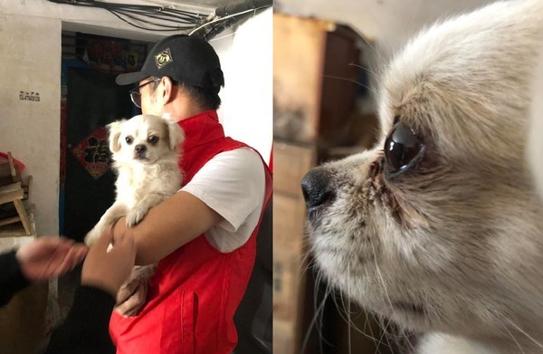 愛犬不相信主人離世 滿眼淚水守老宅門前3天