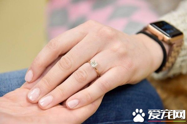 收容所狗狗當送戒汪求婚成功 變幸福的一家四口