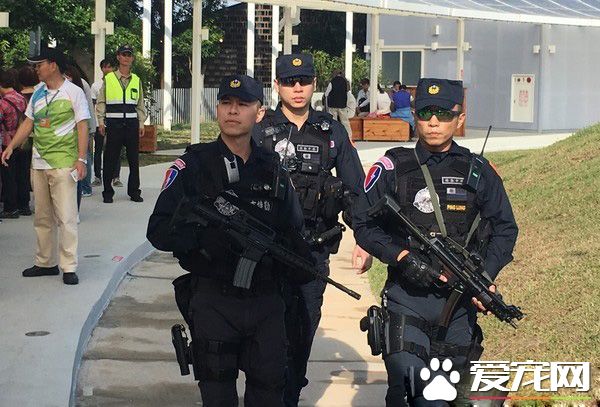 臺中花博開幕有警犬與騎警進駐維安 成特殊亮點