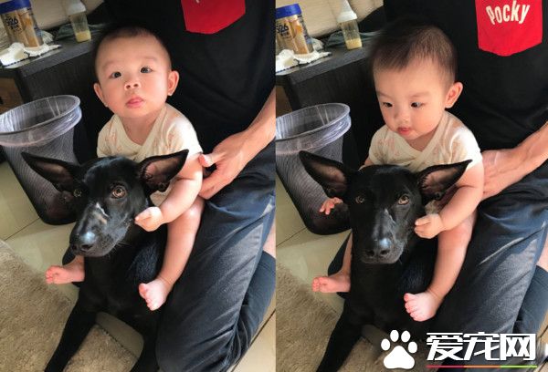 萌片錄到一半時 坐騎汪超淡定將妹妹載走!