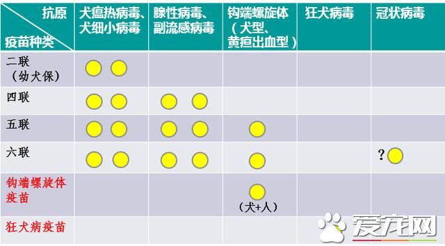 疫苗廠家培訓實錄：原來我們知道的疫苗知識很多都是錯的（狗）