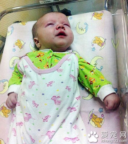  貓咪用身體溫暖挽救了男嬰的生命，獲贊“英雄貓”