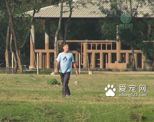 溫柔的大象對著人撒嬌牽手黏踢踢